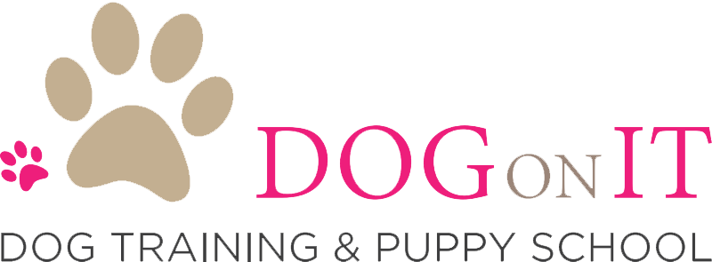 Dog On It – Dog Training and Puppy School